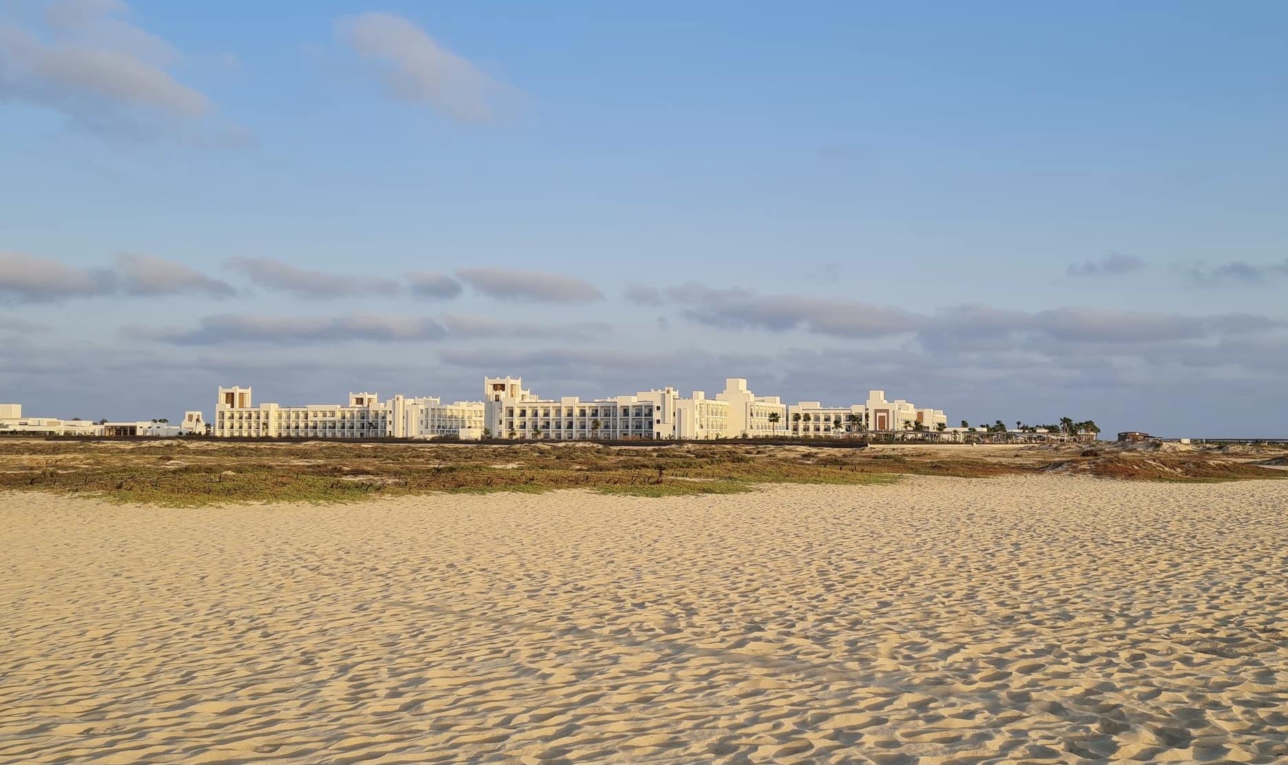 Header Image 1 (1)