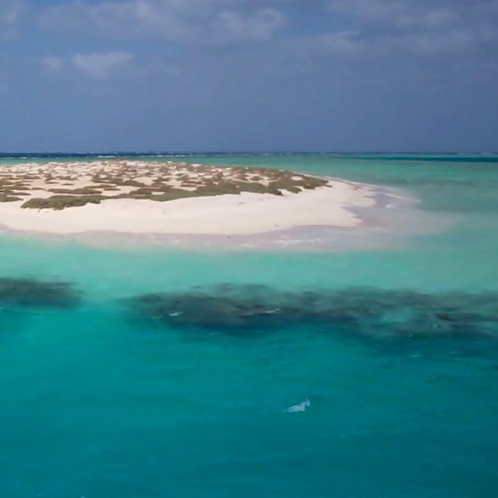 Header Image 1 (1)