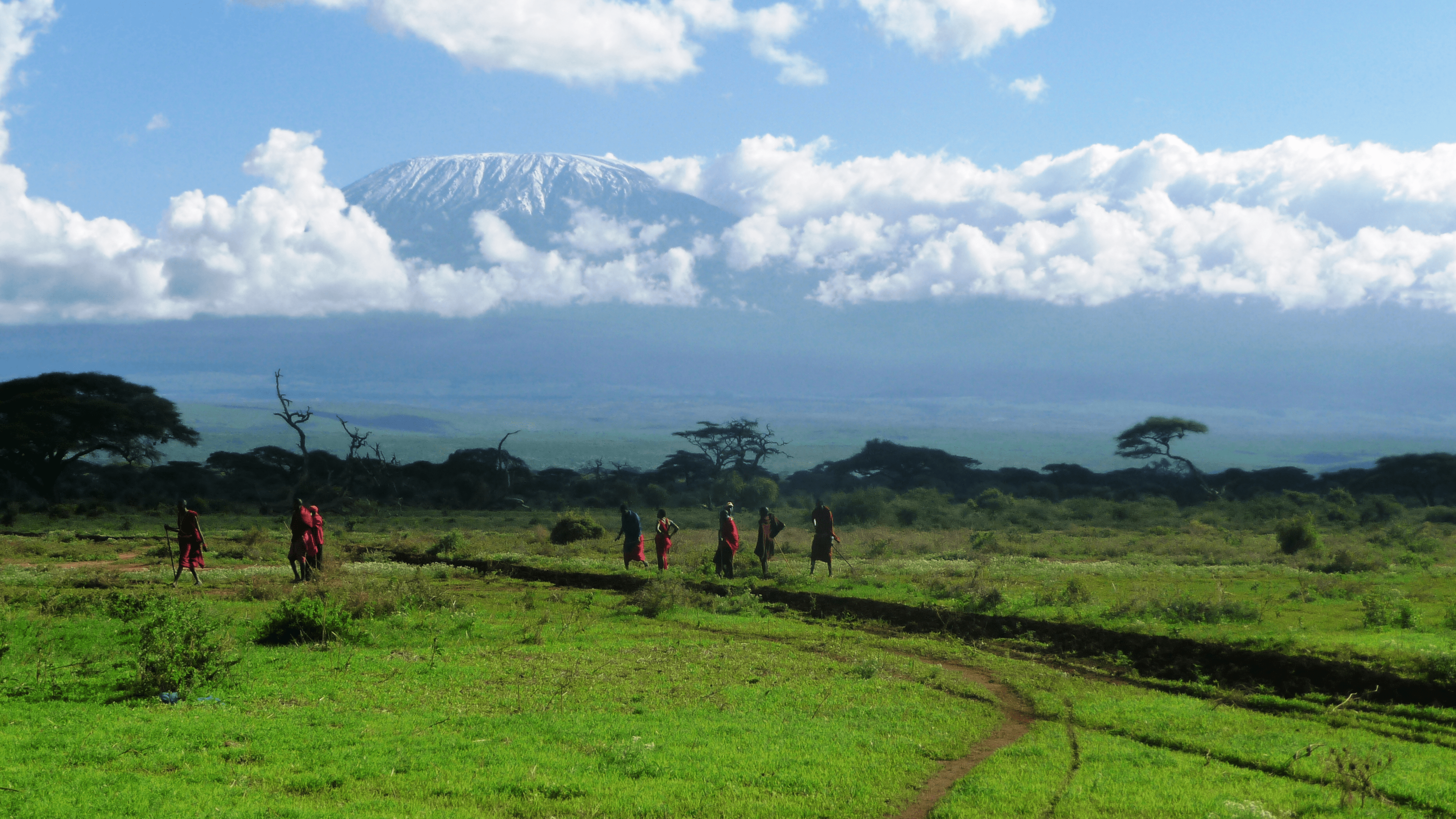 Header Image 1 (1)
