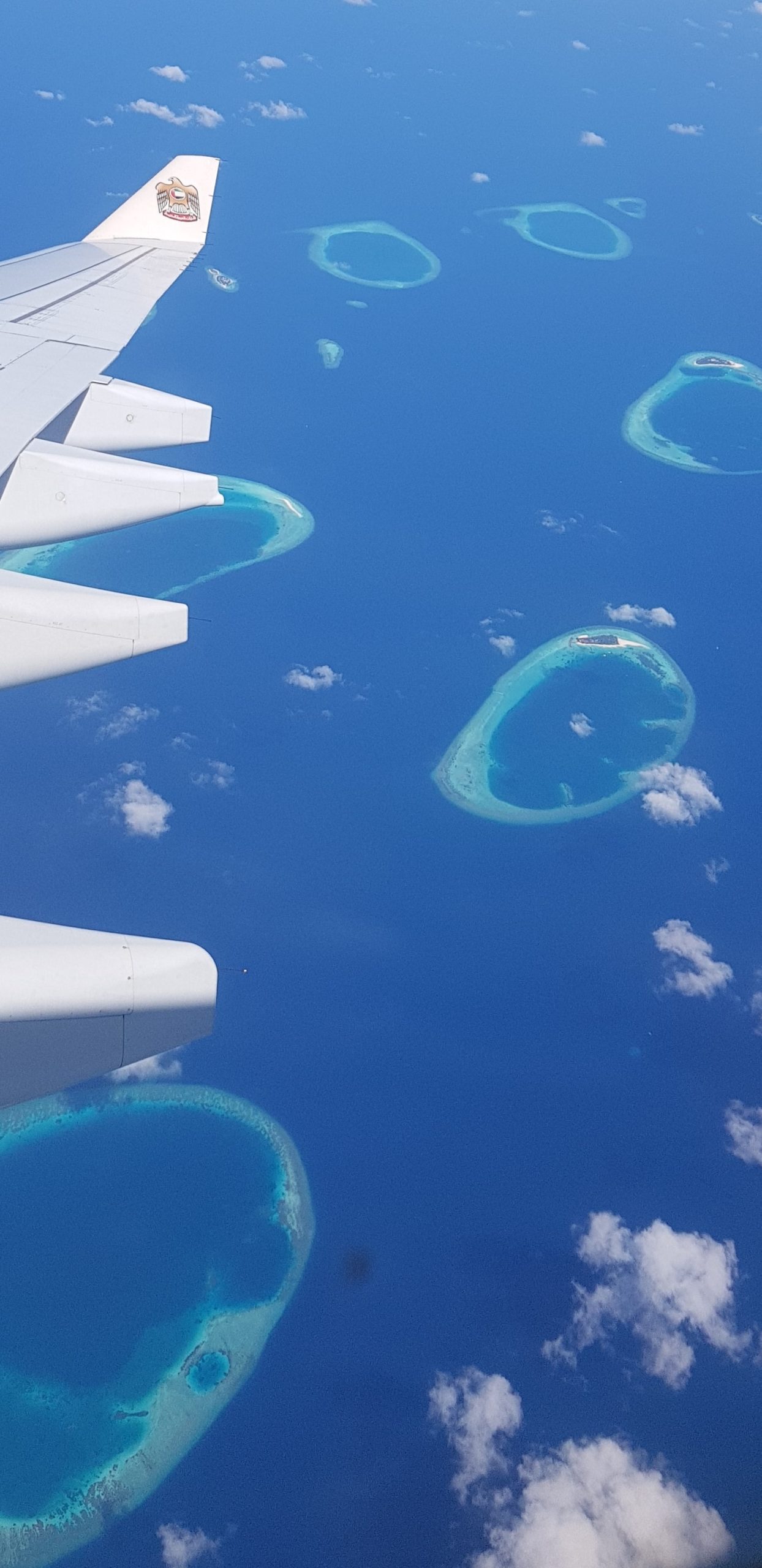 Header Image 1 (1)