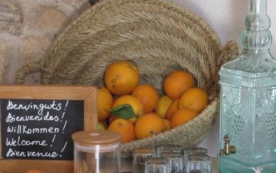 das ganz besondere Hotel auf Mallorca