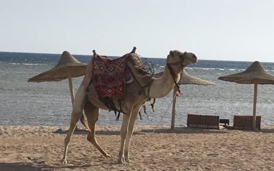 Ägypten
