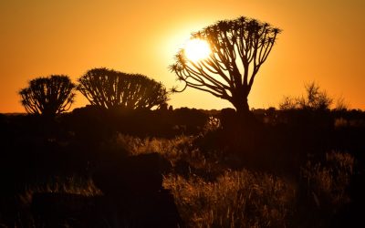 Best of Namibia