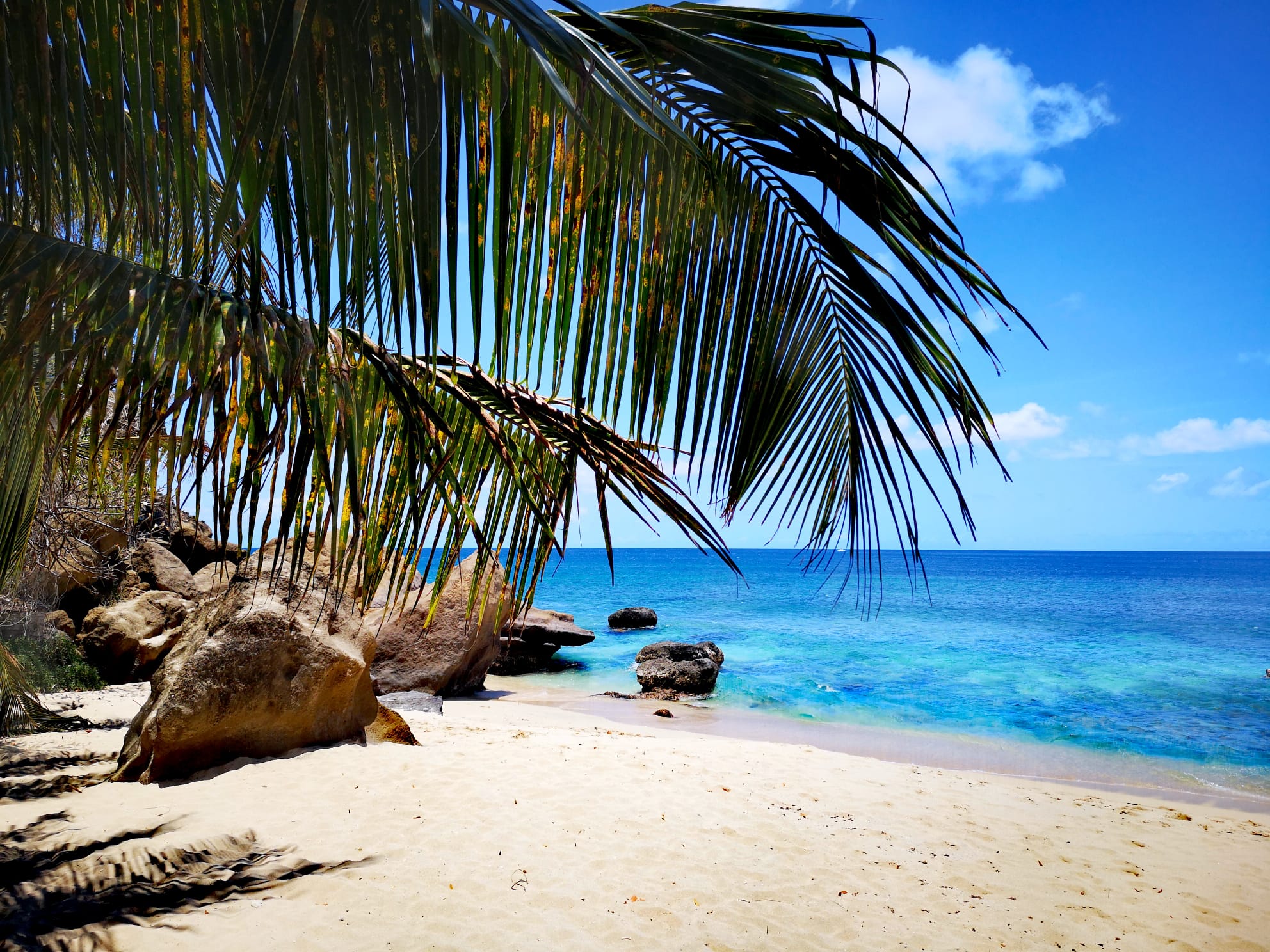 Header Image 1 (1)