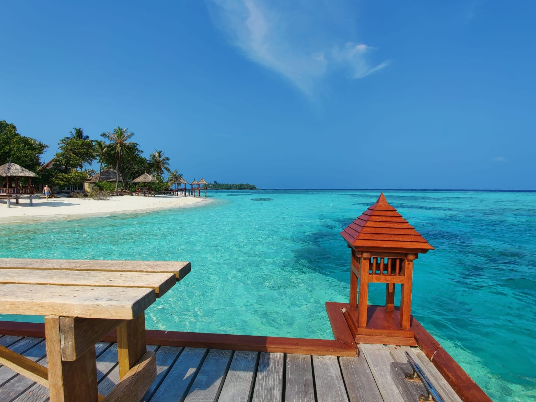 Header Image 1 (1)