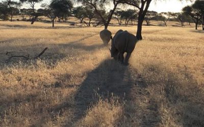 Namibia – ein Kontinent in einem Land