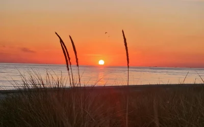 Ferien in Dänemark an der Nordseeküste