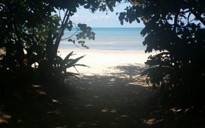 Australien – Ostküste von Cairns bis Melbourne