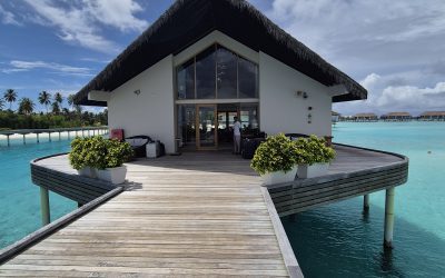 Rein ins Paradies: Traumziel Malediven