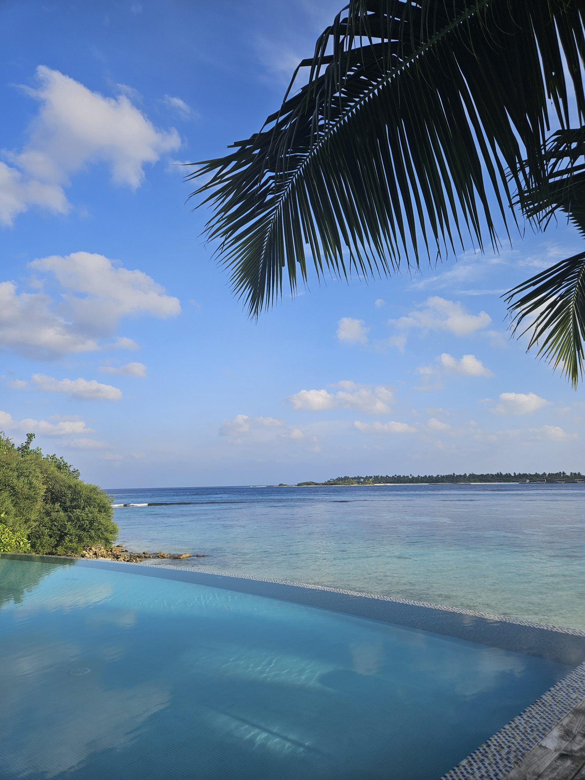 Header Image 1 (1)