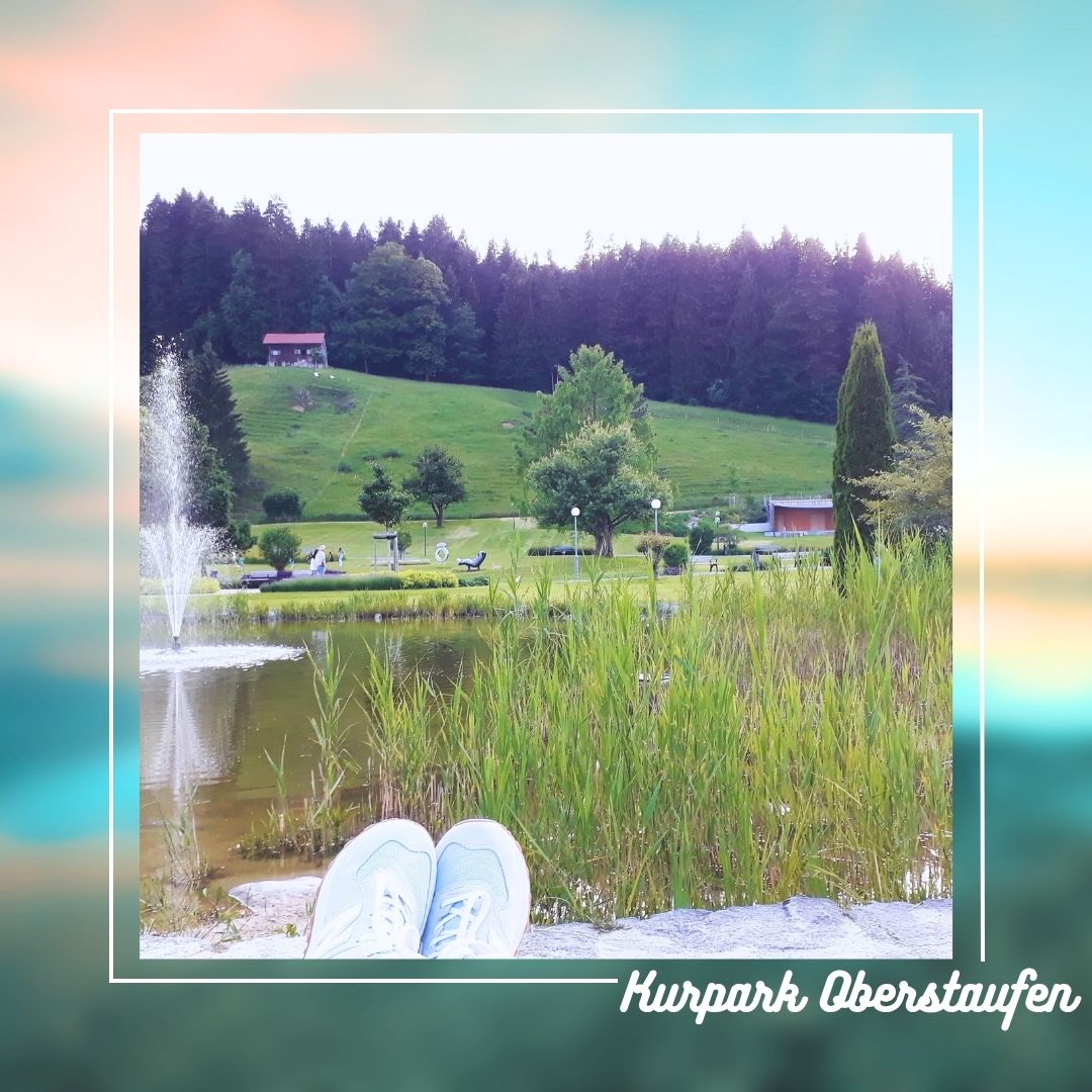 Header Image 1 (1)