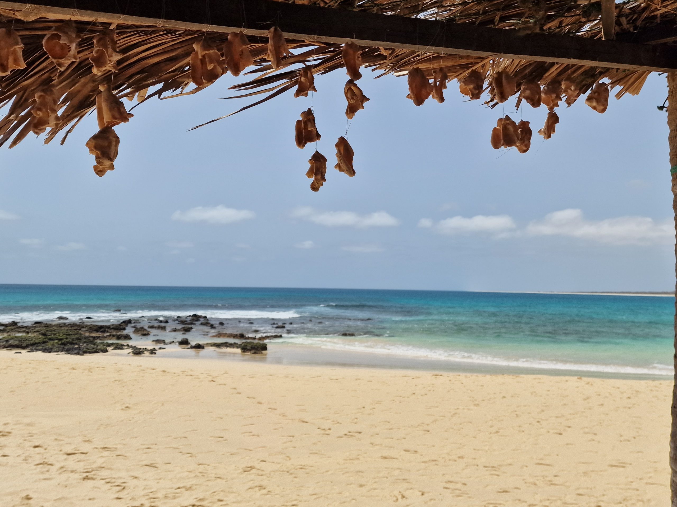 Header Image 1 (1)